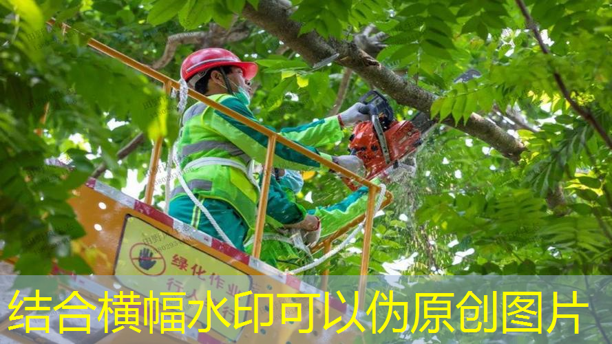 jn江南·体育登录入口，亚玛芬体育网球拍多少