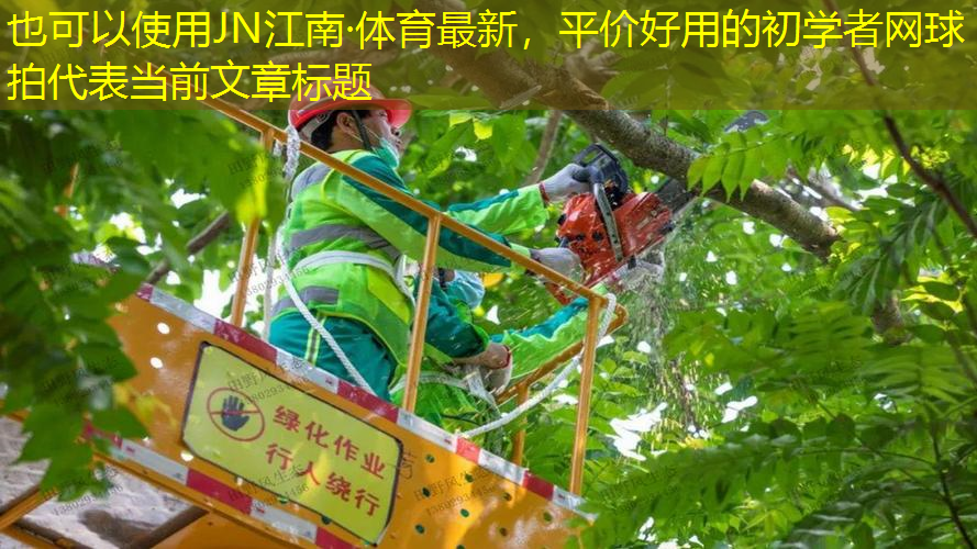 JN江南·体育最新，平价好用的初学者网球拍