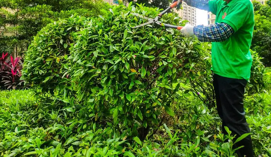 江南·体育官方网站登录，网球拍竖线用多少个拍长
