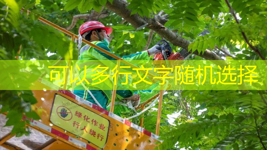 <strong>江南俱乐部，网球拍训练器东方甄选</strong>