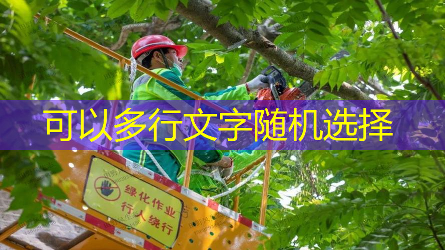 <strong>开启新视野，发掘健康之道——室外体育健身器材引领时尚运动！</strong>