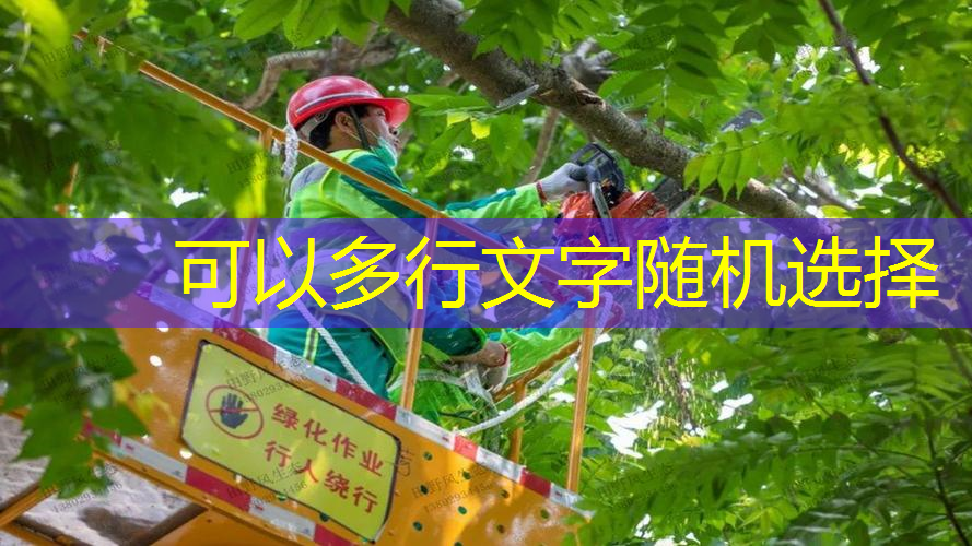 网球拍会不会打断腿部内侧