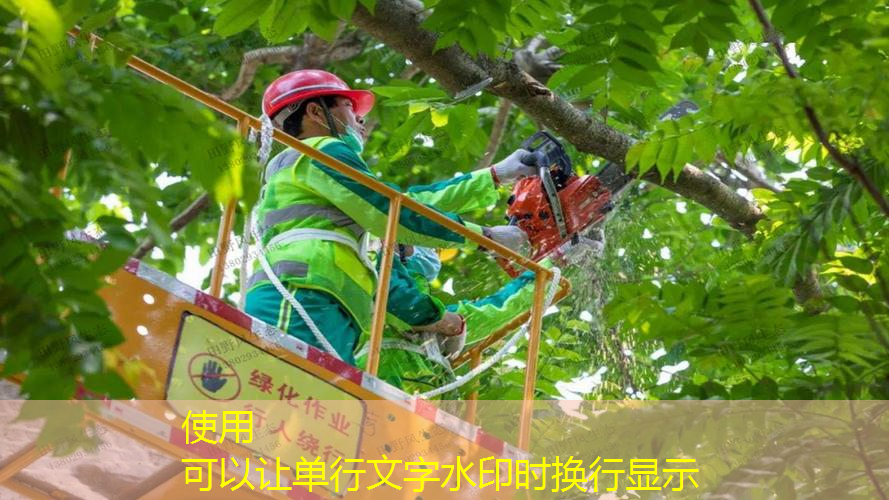 开启新视野，发掘健康之道——室外体育健身器材引领时尚运动！